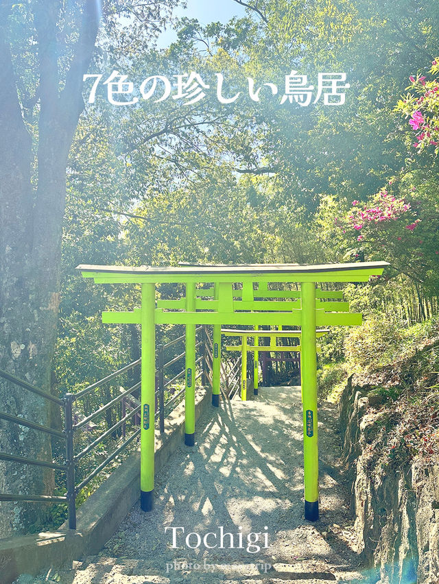 GWここにいこう！神社めぐり【栃木】