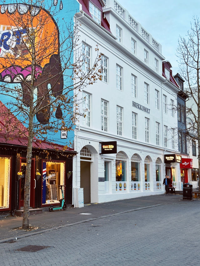 Day 6: City Strolls & Whale Tales in Reykjavík