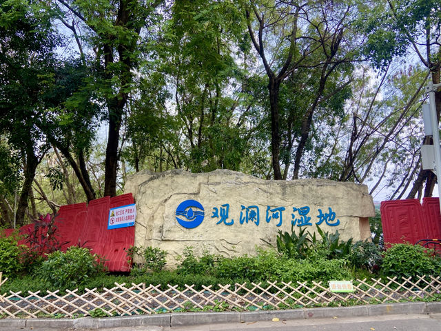 🌿自然美景與城市的交融🔥深圳龍華輕鬆自在日遊行程推介✨👍🏻