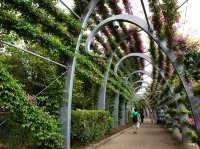 🌿🌸 Brisbane Spring Weekend: River Walks, Blooms & Rooftop Views