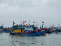 LÝ SƠN - MỘT HÒN ĐẢO THÂN THƯƠNG