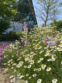 【季節の花を愛でる旅】フラワーパーク