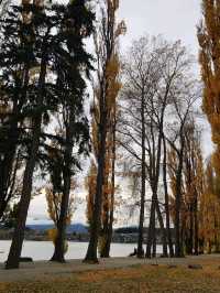That Wanaka Tree - the lonely creature in the lake