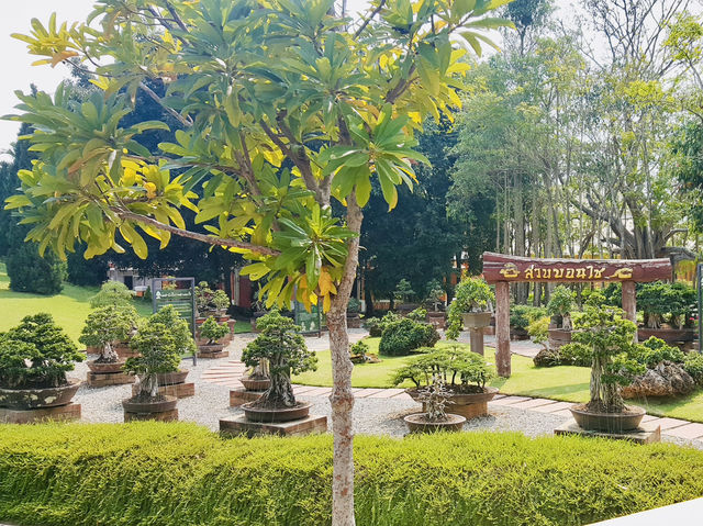 APRIL OASIS: CHIANG MAI’S TRADITIONAL TEAK TREASURES
