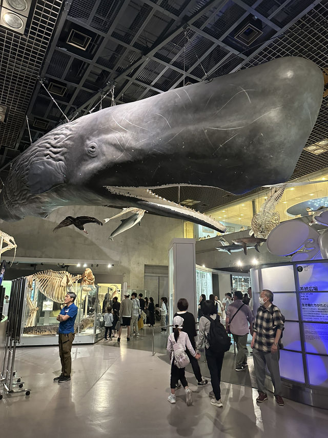 과학의 모든 것! 도쿄 국립과학박물관 🦖🌏✨