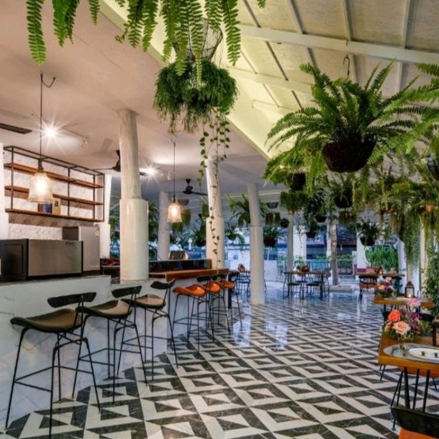 H Flora Hotel Chiang Mai l ที่พักใจกลางเมือง 🌿🍃