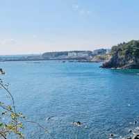 Majestic Waters Meet the Sea - A Seogwipo Spectacle