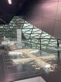 Museum of Contemporary Art & Planning Exhibition