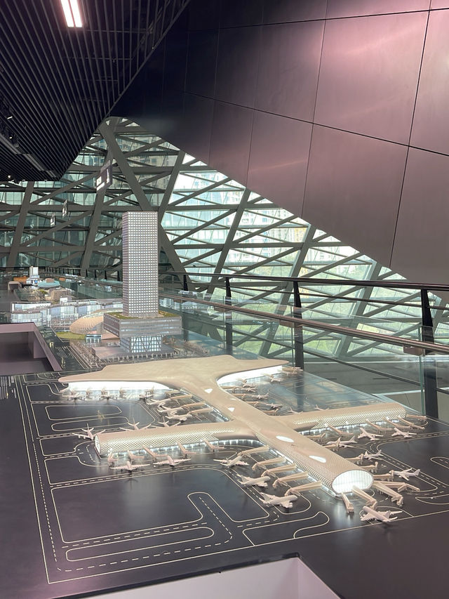 Museum of Contemporary Art & Planning Exhibition