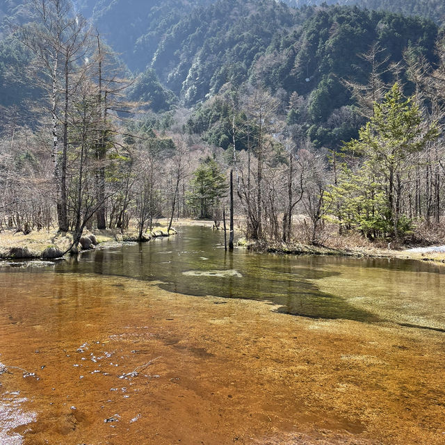 【長野】人生で一度は行きたい絶景スポット🏔️
