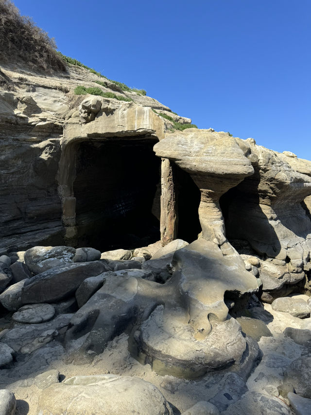 🐬 샌디에고 La Jolla Cove, 바다사자와 함께하는 해변!