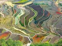  Honghe Hani Rice Terraces sparkle