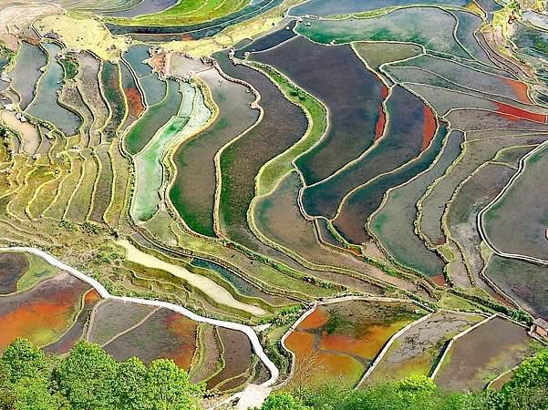  Honghe Hani Rice Terraces sparkle