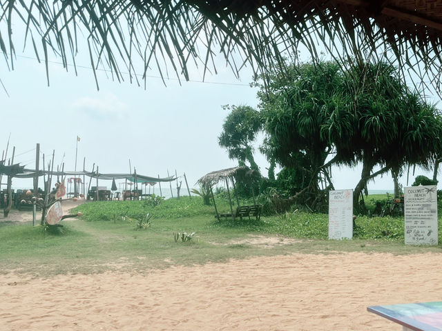 【穴場】ネゴンボビーチにあるCoconut beach restaurant