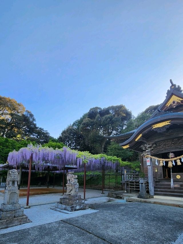 【山口グルメ】道の駅おふく・西八幡宮