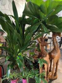 Nature Meets Coffee in the Heart of JB