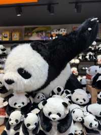 Perfect place for toys lover