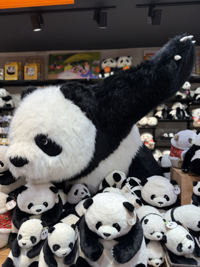 Perfect place for toys lover