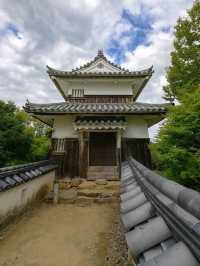 Bitchu Matsuyama Castle