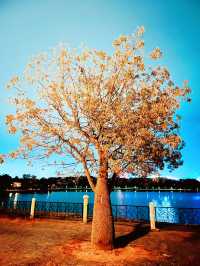 Perdana Lake Cyberjaya: A Scenic Haven Overlooking Putrajaya’s Iconic Skyline