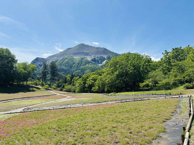 Don’t Be Fooled by the Flowers—This Park Hides a Real Adventure!