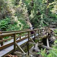 Muir Woods National Monument – Mill Valley, CA