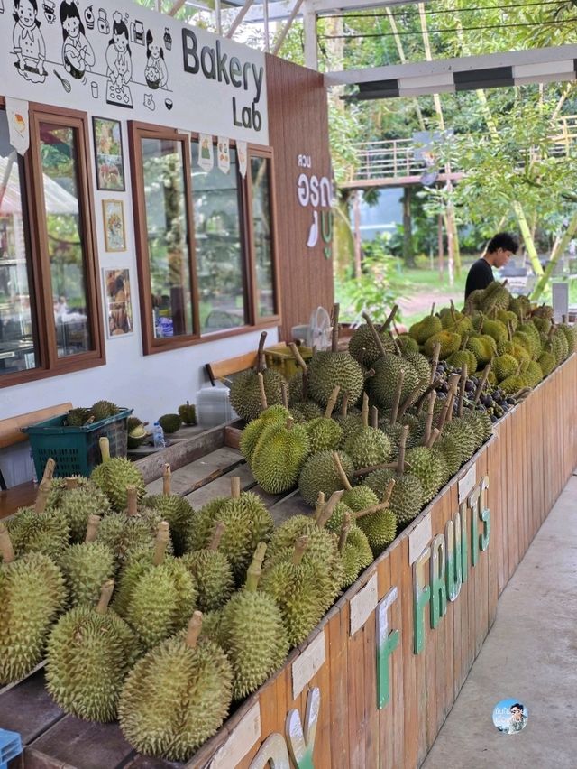 สวนอรุณบูรพา จันทบุรี