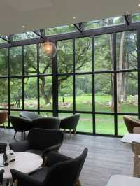 Mulberry Mellow cafe 