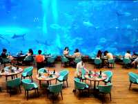 Aquarium สุดว้าวววว✨️