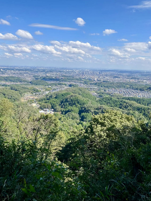 A Hike Through History – Exploring Hachioji Castle Ruins & Fujimidai Views