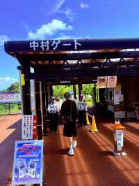 穿越僻靜山谷的高空吊橋