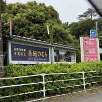 まるで昭和の世界？様々な体験もできる広大な土地