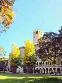 🎓 Explore University of Western Australia , Perth 