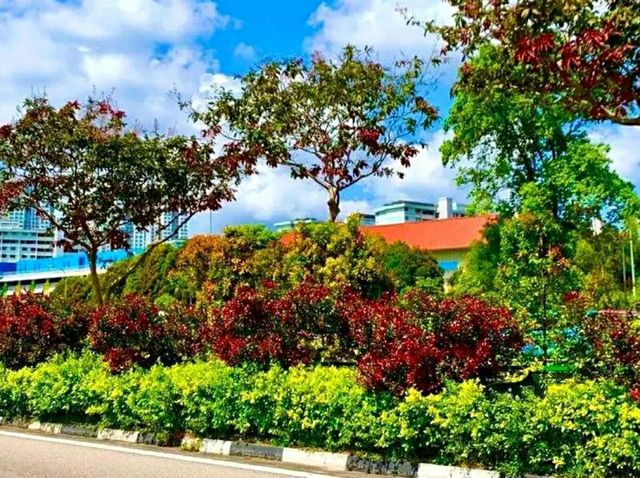 Singapore Gardens – Urban Oasis of Beauty and Innovation