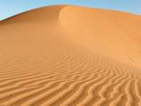 A Magical Journey into the Sahara 🐪🌍 