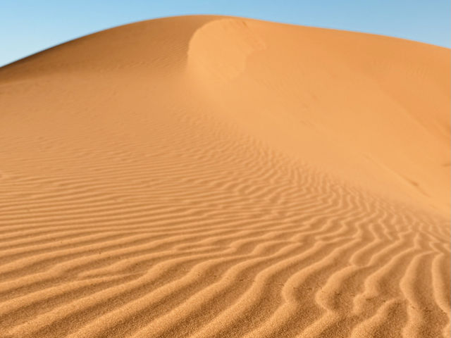 A Magical Journey into the Sahara 🐪🌍 