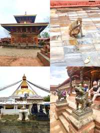 Sacred stupas, jungle safaris, and Himal