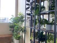  🏨Hilton Garden Inn Rayong 🌅 