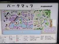 The Suigo Sawara Ayame Park