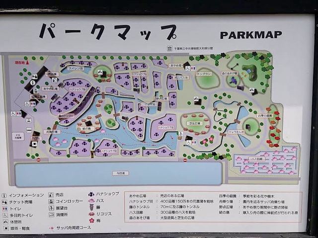 The Suigo Sawara Ayame Park