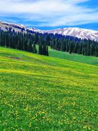 Nalati Grassland: The Emerald Crown of Xinjiang