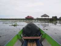 ล่องเรือ แลนก ชมบัว ที่ทะเลน้อย พัทลุง