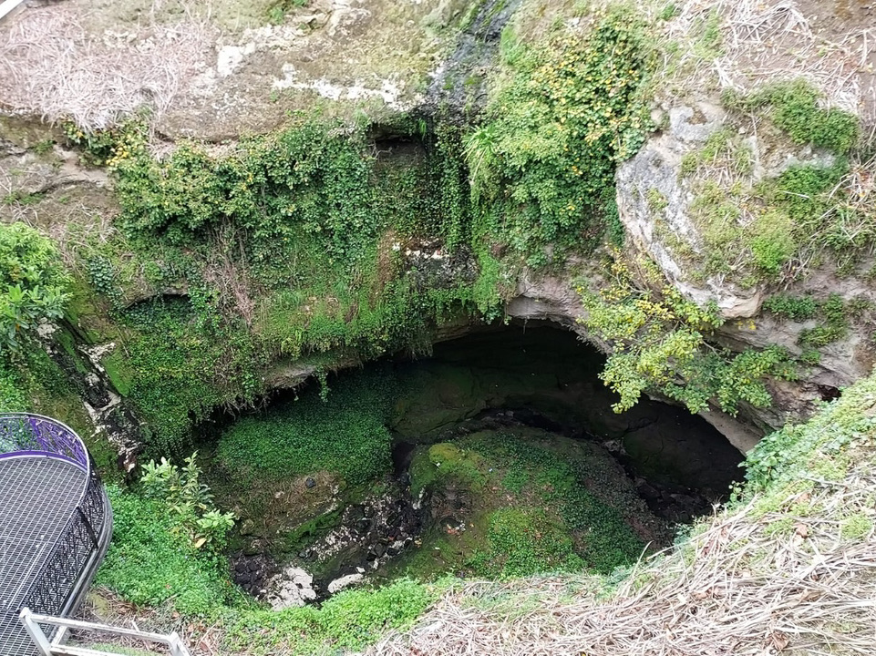 Cave Garden / Thugi: อัญมณีอันเงียบสงบใน Mount Gambier