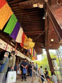 大阪｜到葛井寺看紫藤白藤 1300年11面千手觀音神像近距離參拜