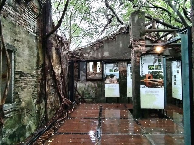 Anping Tree House