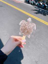 精選小琉球必去景點超強攻略！超多巨大海龜共游好療癒🐢