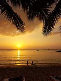 🌊 8 Days of Island Bliss: Bohol, Siquijor & Moalboal Summer Itinerary