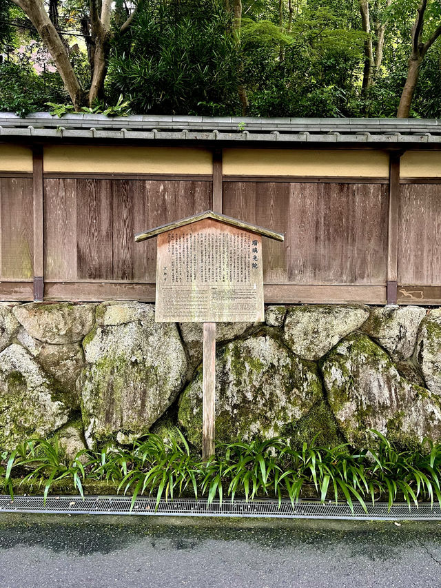 🍃🪞**【瑠璃光院（るりこういん）】 一枚の写真に、永遠の美しさを。