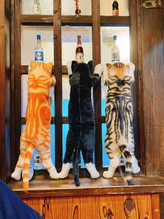 South Daito Island's nightlife destination! Experience island time at Izakaya 'Nora'