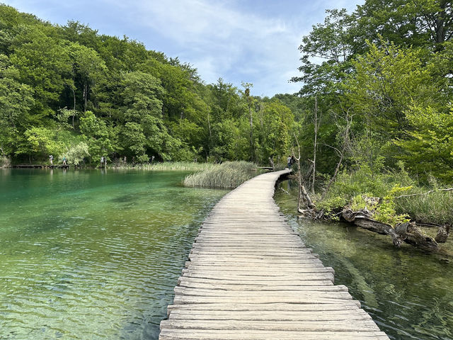 【クロアチアの絶景スポット🌎🇭🇷】プリトヴィツェ湖群国立公園